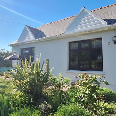 Y Cuddfan Gower Swansea Exterior foto
