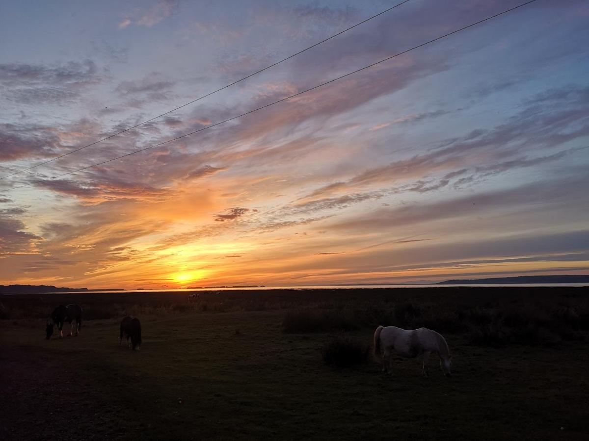 Y Cuddfan Gower Swansea Exterior foto
