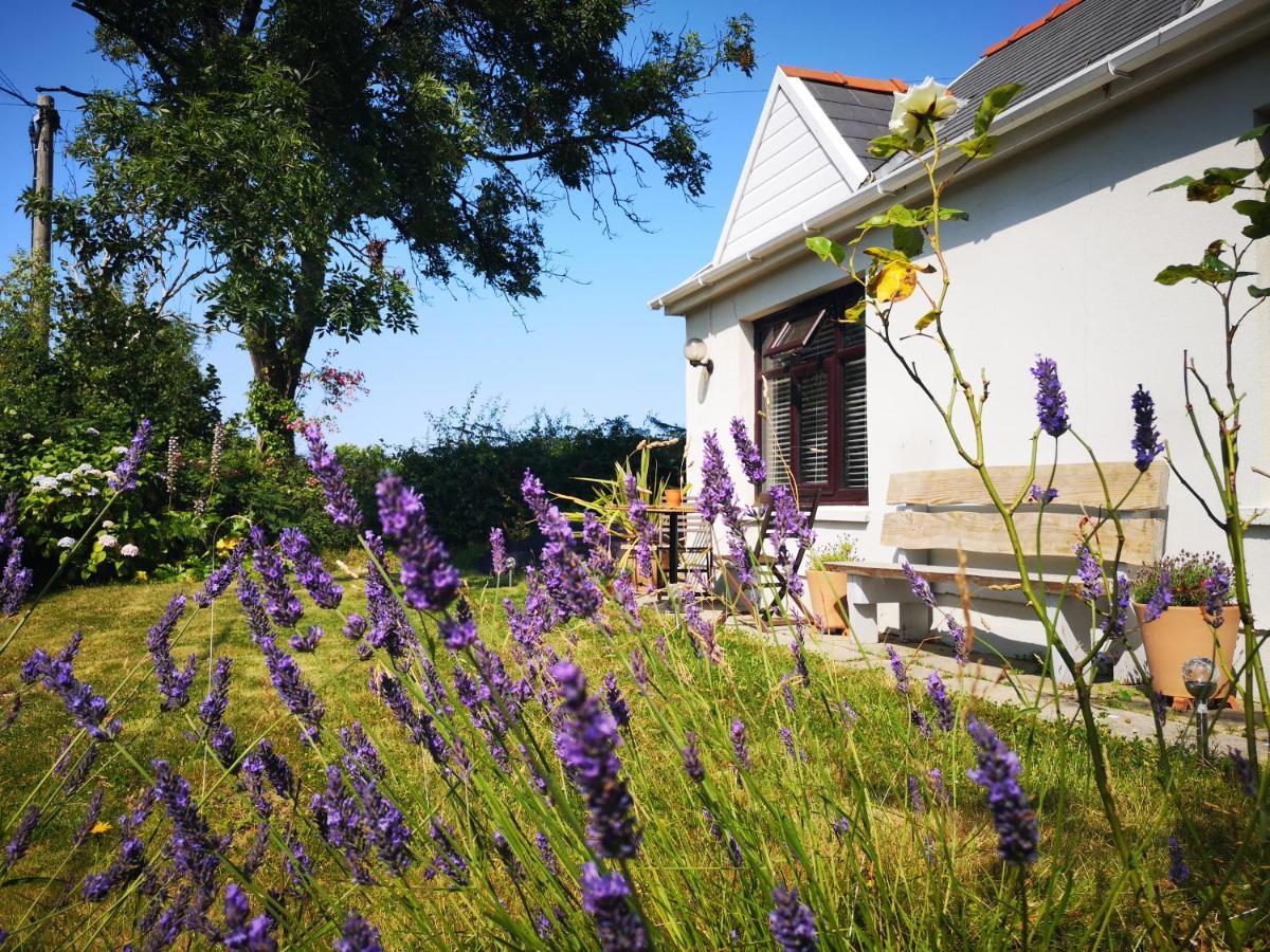 Y Cuddfan Gower Swansea Exterior foto